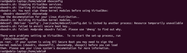 Virtualbox installing a Linux VM 4.png